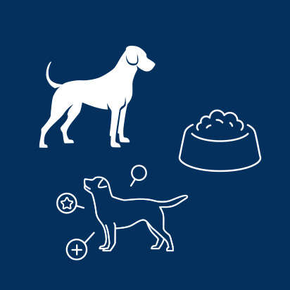 buffo bubblenavi sortiment 412x412px